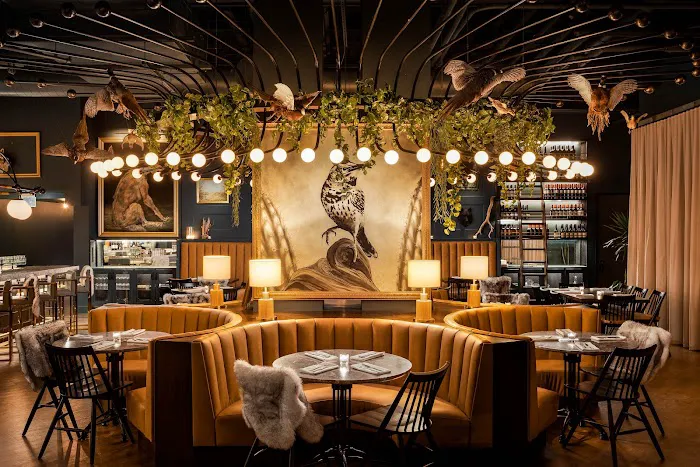 Wren & Wolf Picture 2