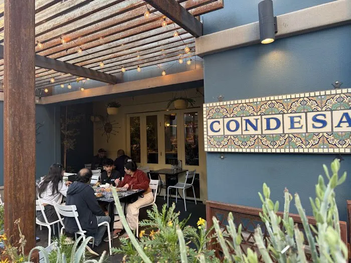 Condesa Phoenix Picture 3