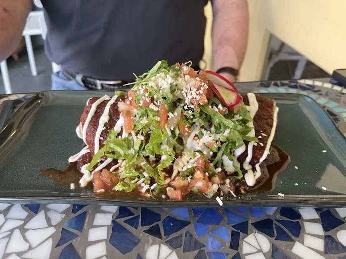 Condesa Phoenix Picture 10