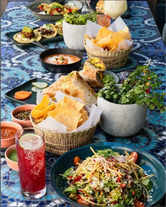 Condesa Phoenix Picture 5