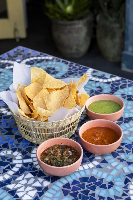 Condesa Phoenix Picture 8