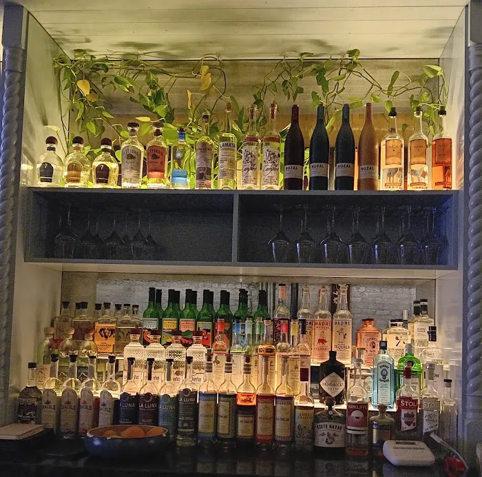 Condesa Phoenix Picture 7