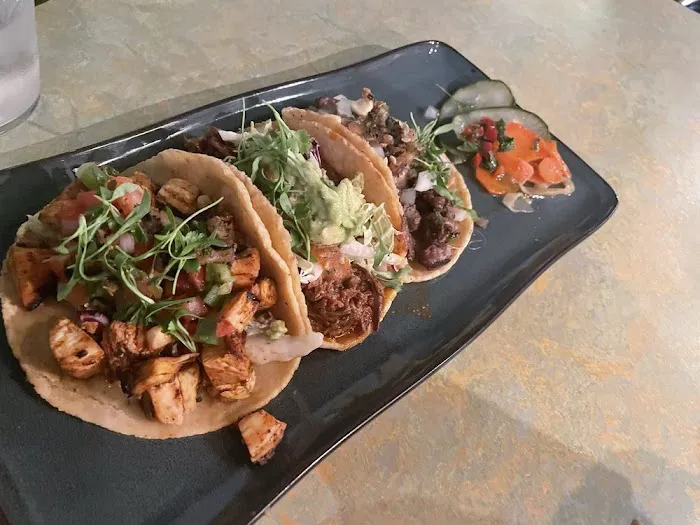 Condesa Phoenix Picture 9