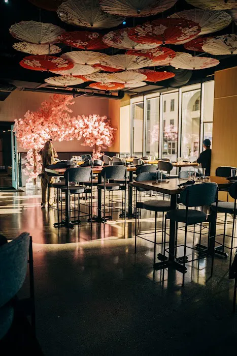 MOTOMOTO Sushi & Izakaya Picture 5