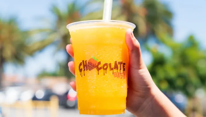 Chocolate Bash Picture 3