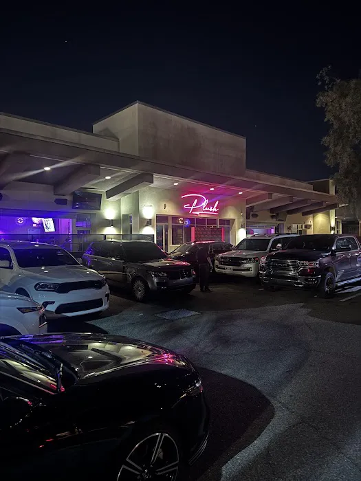 Plush Kitchen & Lounge Picture 7