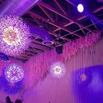 Plush Kitchen & Lounge