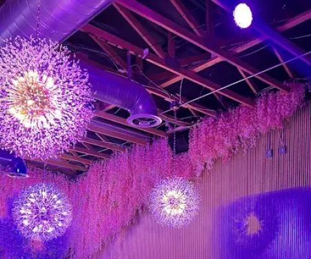 Plush Kitchen & Lounge