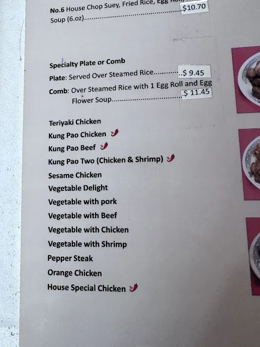 New Garden Restaurant Picture 10