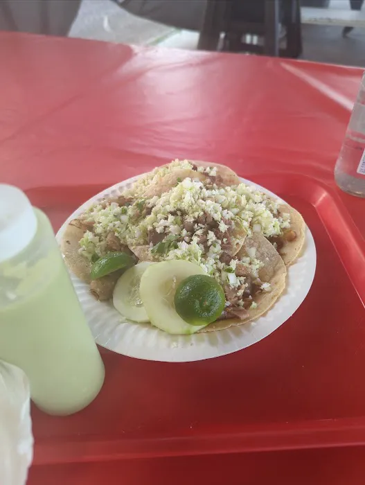 Mexican Food Truck Picture 7
