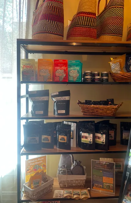 The Diaspora Collective Picture 2