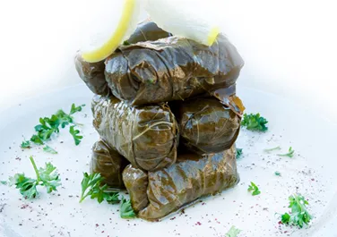 Pita Jungle Picture 9