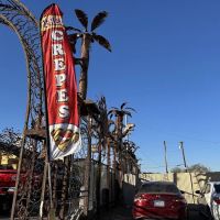 Sweet Dulce Barrio ico