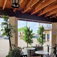 Earth Plant Based Cuisine ico