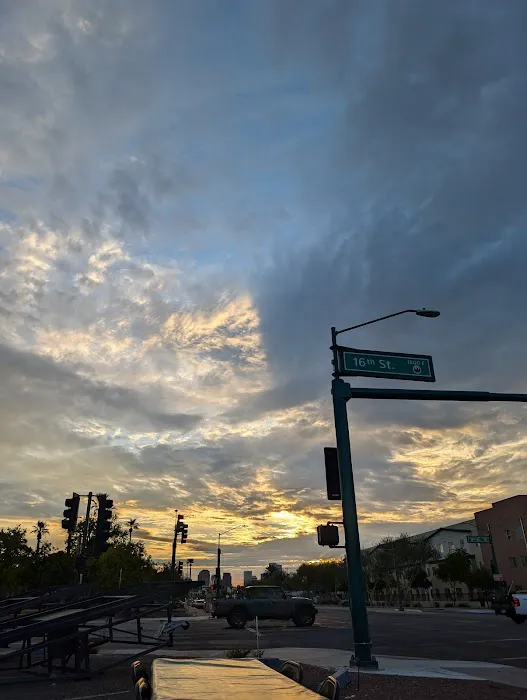 Los Pinchis Burros Percherones Picture 9