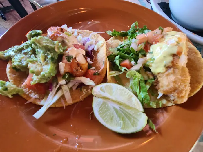 Gallo Blanco Picture 6