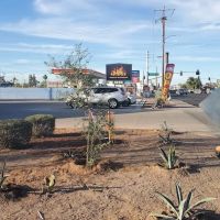 Cien Fuegos Restaurant ico