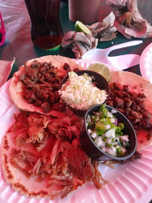 La Frontera #2 Picture 4