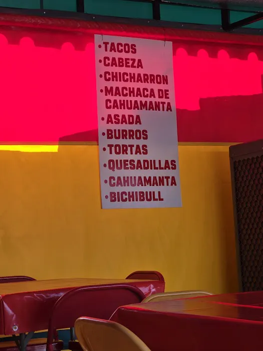 Sahuaros Cahuamanta Picture 5