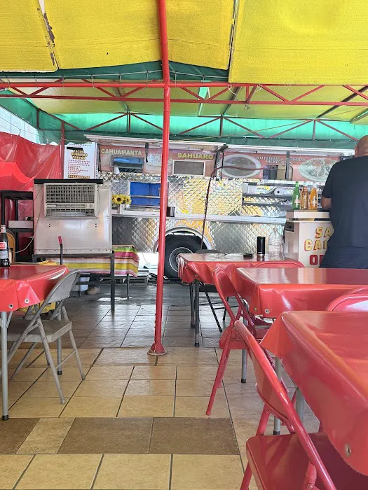 Sahuaros Cahuamanta Picture 3