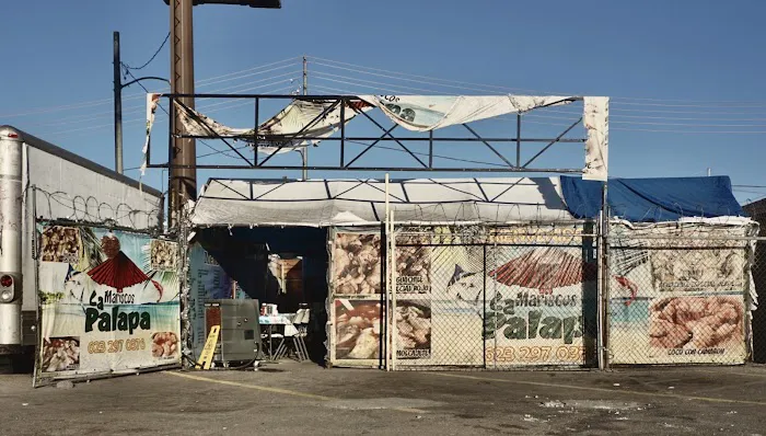 Mariscos La Palapa Picture 4