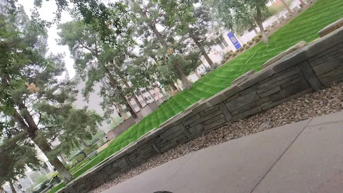 City Bistro BMO Picture 8