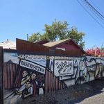 Berry Divine Acai Bowls