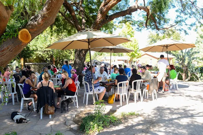 Morning Glory Cafe Picture 6