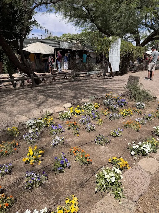 Morning Glory Cafe Picture 10