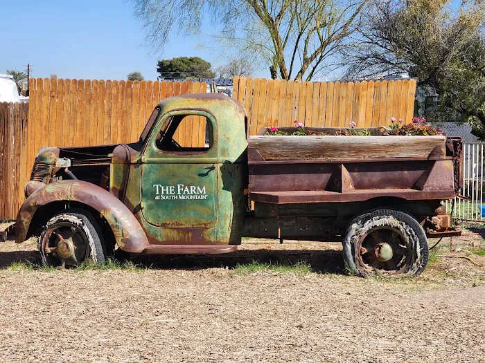 Morning Glory Cafe Picture 2