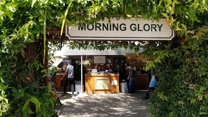 Morning Glory Cafe Picture 8