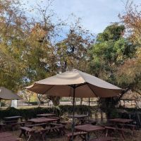 The Farm Kitchen ico