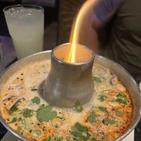 The Wild Thaiger ico