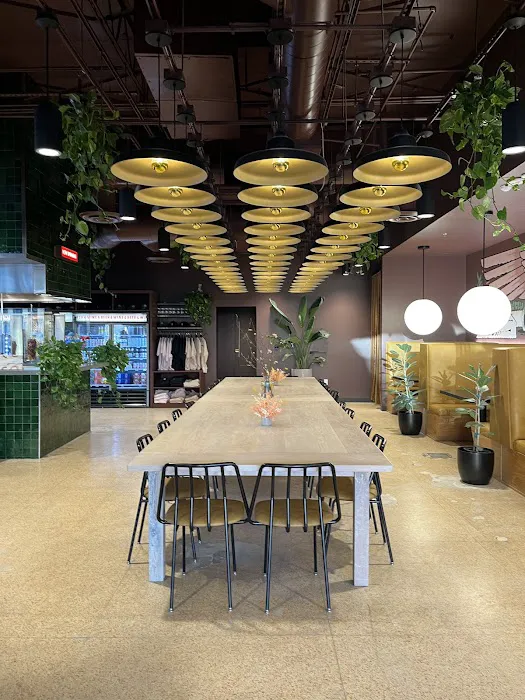 The Green Woodpecker Picture 3