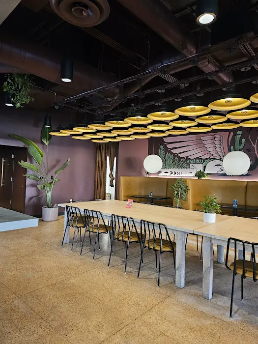 The Green Woodpecker Picture 1