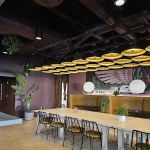 The Green Woodpecker