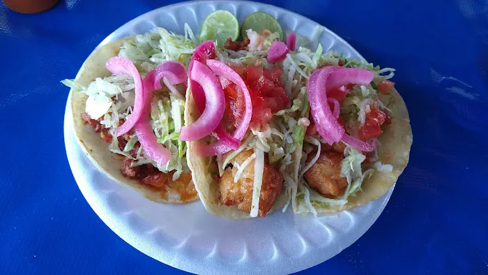 Lonchera Altata Picture 2