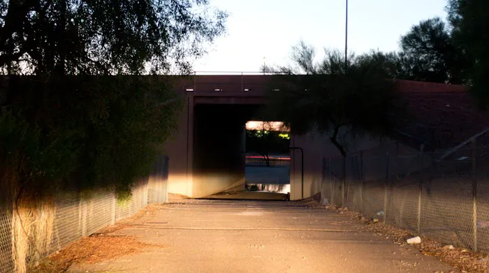 Golden Eggroll Picture 9