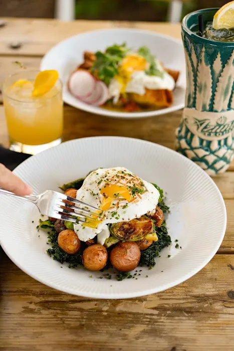 Ocotillo Restaurant Picture 7