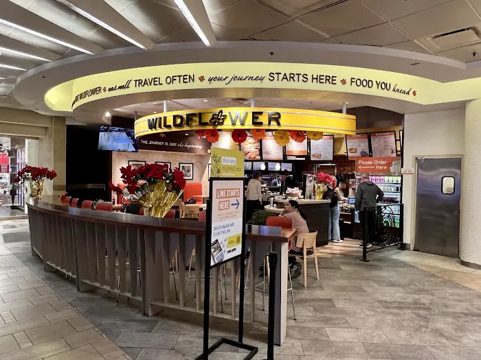 Wildflower Picture 9