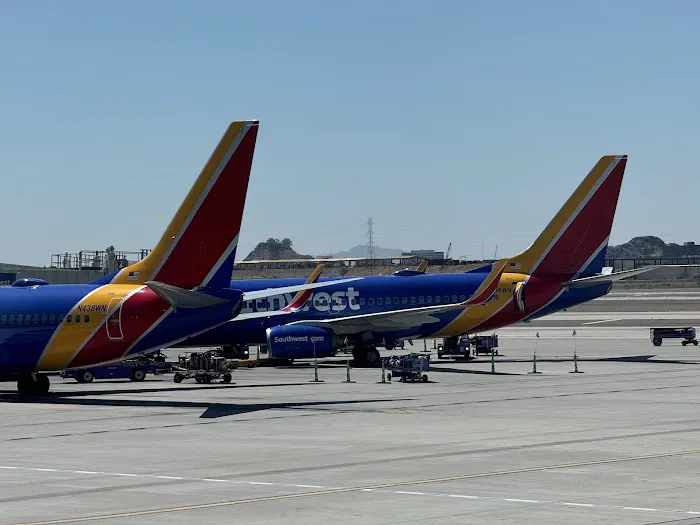Berry Divine Acai Bowls Picture 5