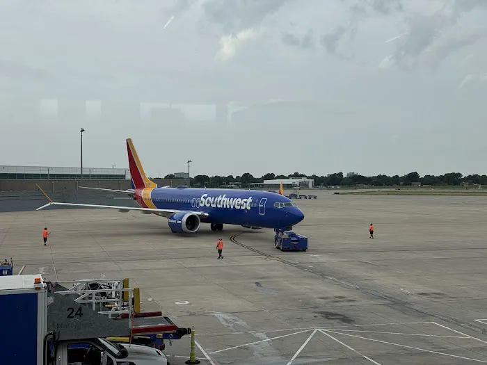 Berry Divine Acai Bowls Picture 10