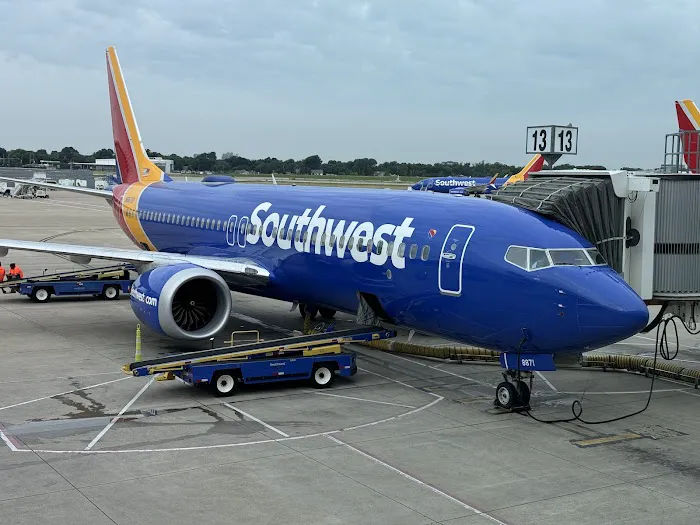 Berry Divine Acai Bowls Picture 3