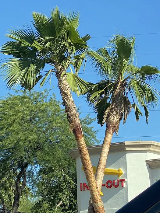 In-N-Out Burger Picture 5