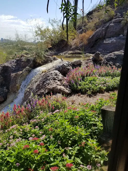 Market Cafe Picture 4