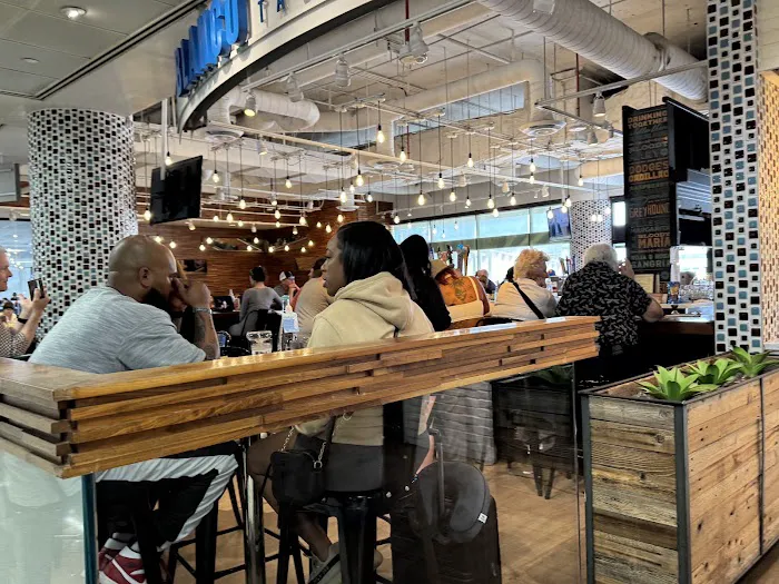 Blanco Tacos and Tequilas Picture 8