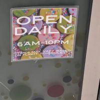 Tammie Coe To Go ico