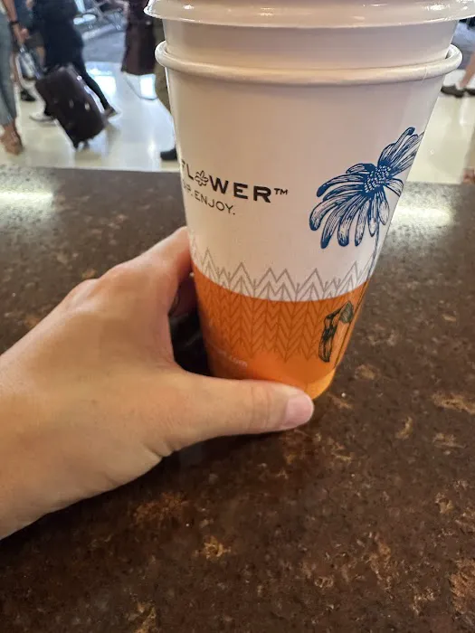 Wildflower Picture 3