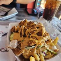 BirdTalk Chicken- Tempe ico