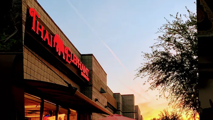 Thai Elephant Bistro Picture 6